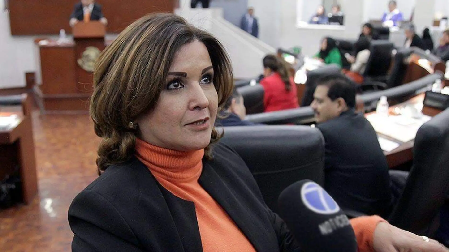 diputada Beatriz Benavente Rodríguez